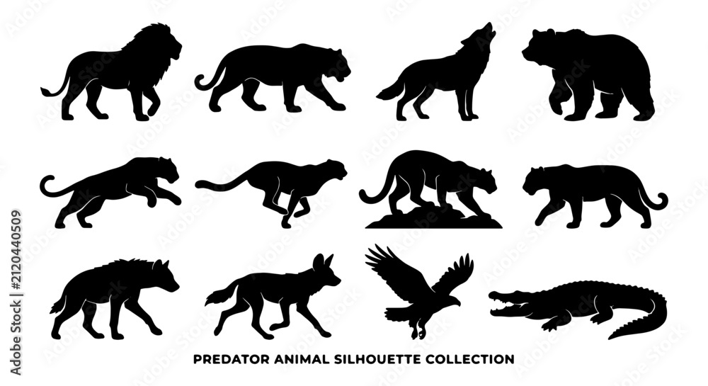 Obraz premium Predator Animal Silhouettes Collection, Fierce Wildlife Vector Icons, Wild Cat and Bear Graphics, Hunting Creatures Set, Black and White Animal Art