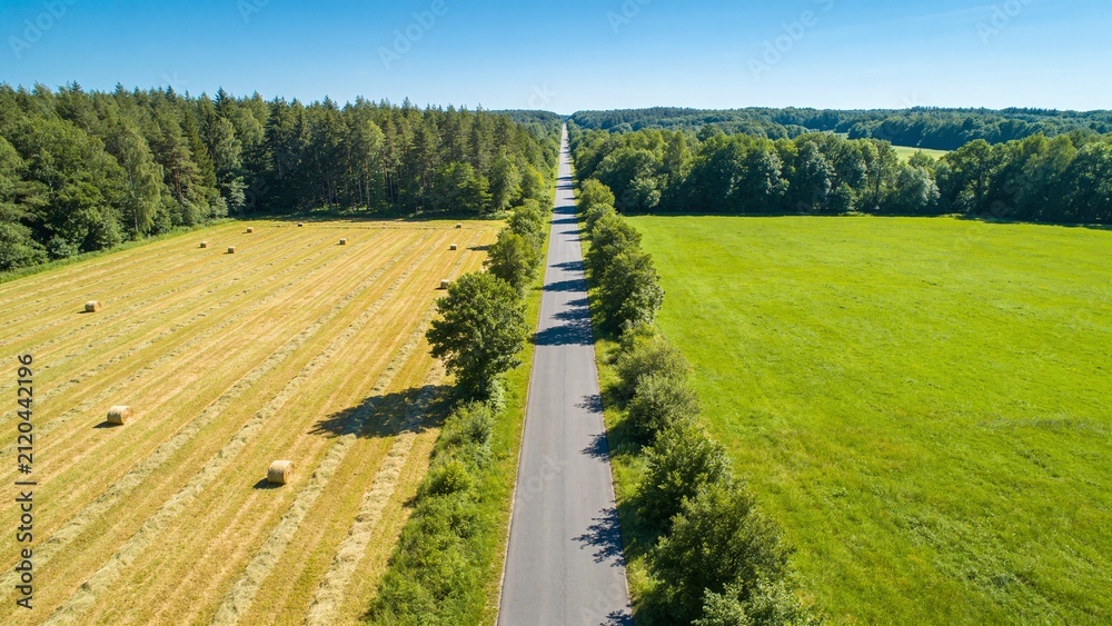 Fototapeta premium Peaceful rural countryside road winding through lush green fields and forest under bright daylight