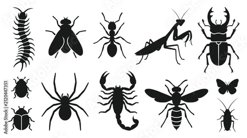 Принти на полотні Collection of Various Black Insect Silhouettes Isolated on White Background