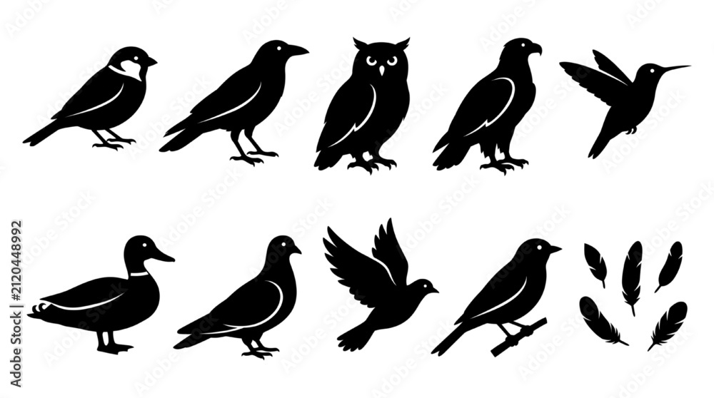 Naklejka premium Collection of detailed bird silhouettes including various species and feathers
