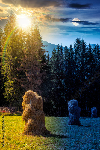 rural landscape with coniferous forest on a green hill. day meet night. sun and moon over spruce trees on grassy meadow in tatra mountains at twilight. summer solstice in poland. astrology wallpaper
