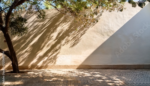 Captivating Shadows Dance On A Wall Beneath Tree Branches Outdoor Natural Light