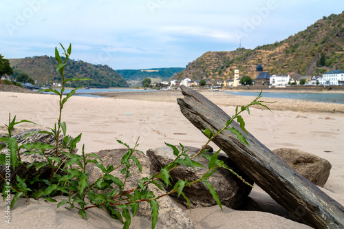 Konstfotografi Exposed sandbanks in the Rhine Valley near St