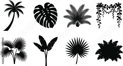 Tropical Plants and Jungle Foliage Silhouette Icon Set Featuring Coconut Palm Tree, Monstera Leaf, Fern Bush, Hanging Vines and Lianas, Fan Palm, Banana Plant, Palmetto Leaf, and Tropical Bush