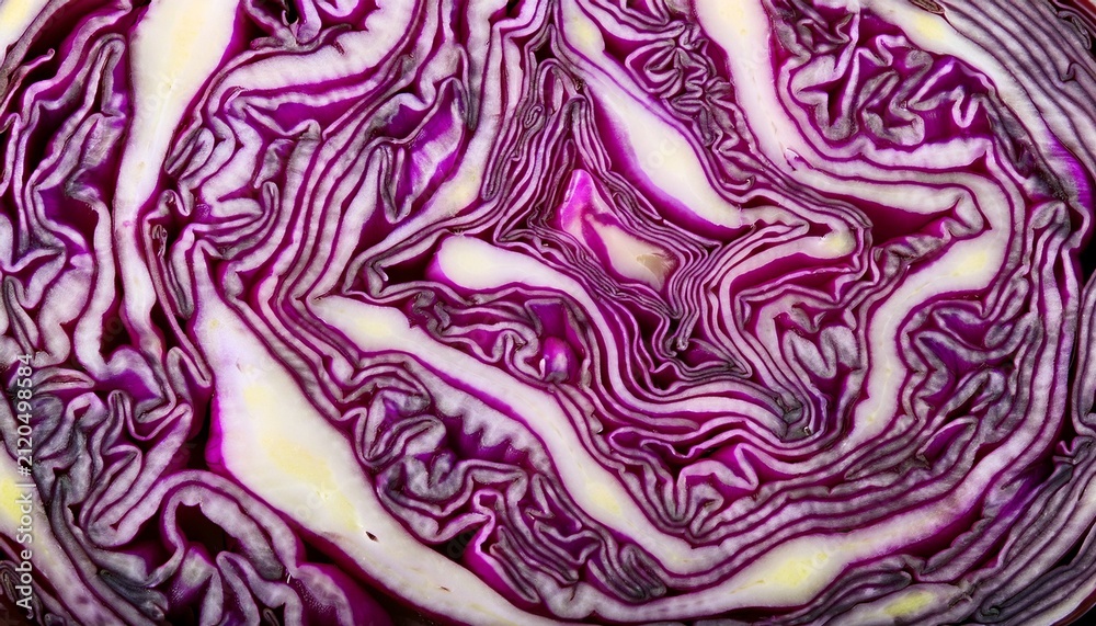 Obraz premium Red Cabbage Cross Section Texture Background