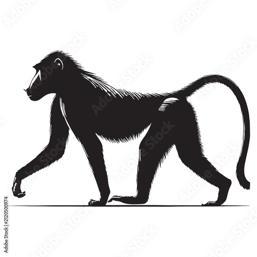 Baboon, Monkey, Primate, African, Wild, Safari, Jungle, Olive, Chacma, Hamadryas, Guinea, Yellow, Baby, Cute, Angry, Face, Portrait, Wildlife, Nature, Illustration, Drawing, Vector, Clipart.