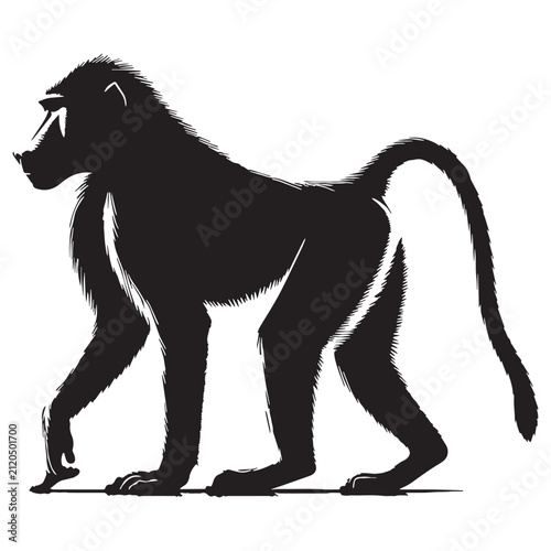 Baboon, Monkey, Primate, African, Wild, Safari, Jungle, Olive, Chacma, Hamadryas, Guinea, Yellow, Baby, Cute, Angry, Face, Portrait, Wildlife, Nature, Illustration, Drawing, Vector, Clipart.