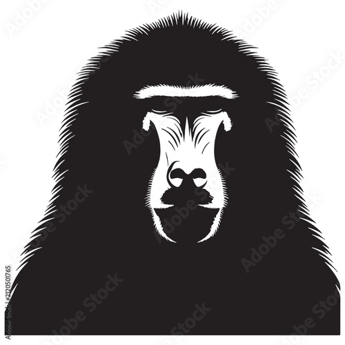 Baboon, Monkey, Primate, African, Wild, Safari, Jungle, Olive, Chacma, Hamadryas, Guinea, Yellow, Baby, Cute, Angry, Face, Portrait, Wildlife, Nature, Illustration, Drawing, Vector, Clipart.