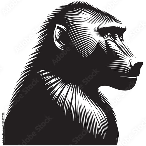 Baboon, Monkey, Primate, African, Wild, Safari, Jungle, Olive, Chacma, Hamadryas, Guinea, Yellow, Baby, Cute, Angry, Face, Portrait, Wildlife, Nature, Illustration, Drawing, Vector, Clipart.