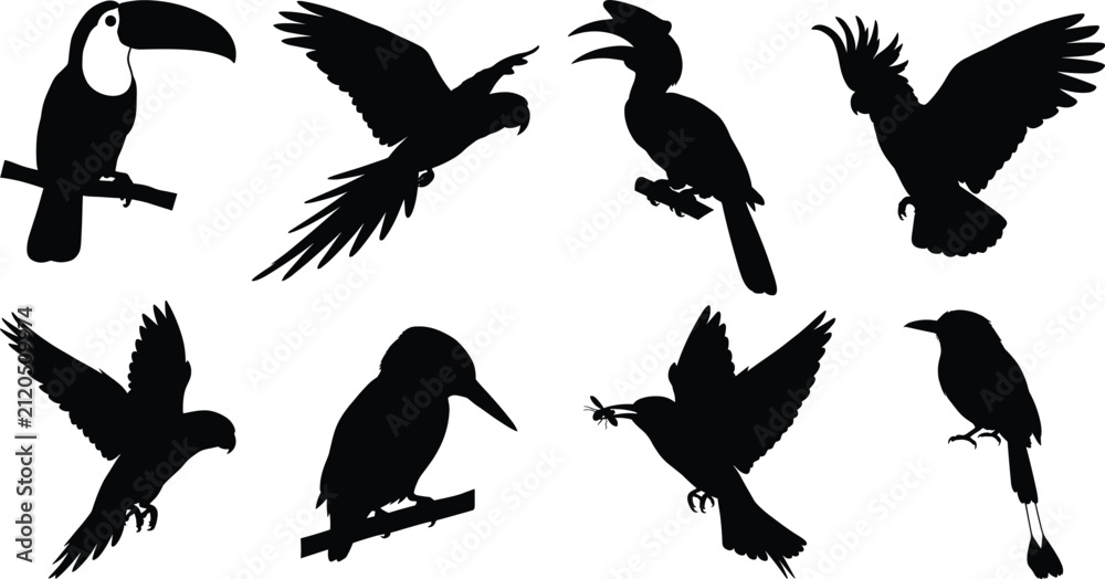 Obraz premium Tropical Bird Silhouette Icon Collection with Exotic Avian and Flying Animal Symbols for Nature Graphic Design Projects