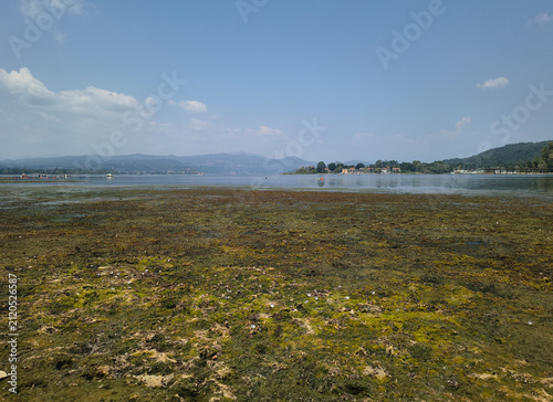 Severe Drought Impact on Landscape, Castelletto Ticino, Italy