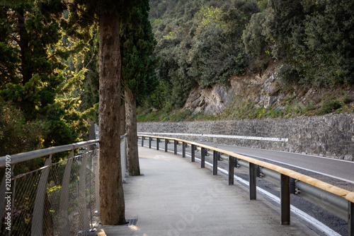 Scenic Curving Road and Pedestrian Path Through Forest in Northern Italy