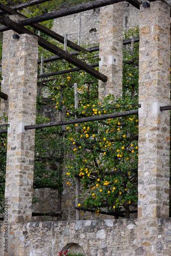 Traditional Italian lemon garden with historic stone pergola in Lake Garda, Italy