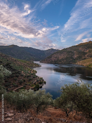 Idyllic view of the Tua River surrounded by vineyards, olive trees and rugged hills in São Mamede de Ribatua, Alijó, Portugal, at sunset.