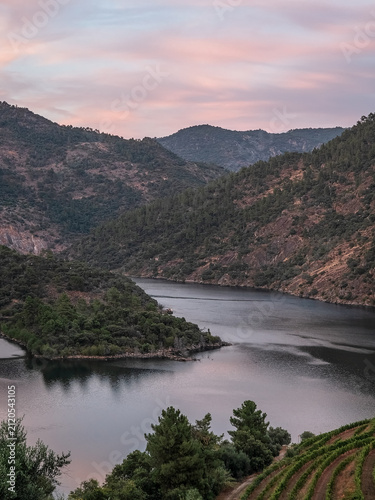 Idyllic view of the Tua River surrounded by vineyards, olive trees and rugged hills in São Mamede de Ribatua, Alijó, Portugal, at sunset.