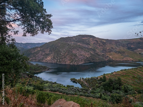 Idyllic view of the Tua River surrounded by vineyards, olive trees and rugged hills in São Mamede de Ribatua, Alijó, Portugal, at sunset.