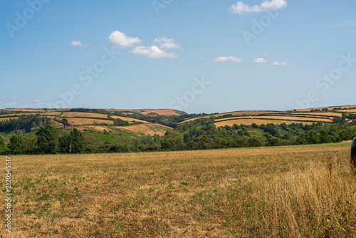 Canvastavla Rolling hills and dry grassy fields in rural Cornwall under a blue sky with scat