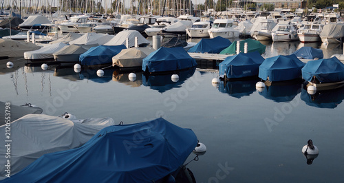 Bild auf Leinwand Covered with tarps, the yachts in the Geneva marina line the pier in soft light, their tall masts rising over the still lake