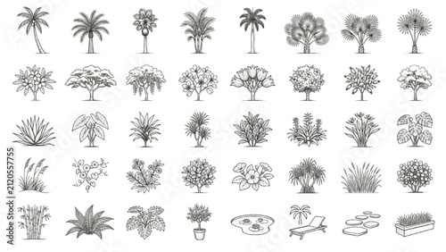 Tropical Landscape Plant CAD Blocks Elevation Vector Collection for Resort Design