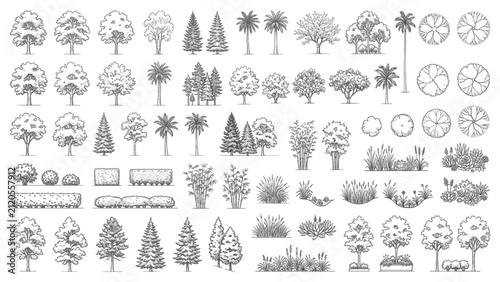 Landscape Plant CAD Blocks Tree Elevation and Top View Monoline Vector Collection