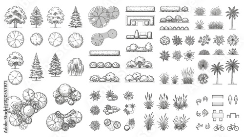 Landscape Architecture Plant CAD Blocks Top View Elevation Monoline Vector Collection