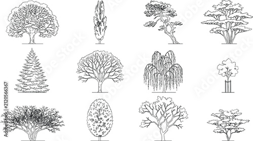 Landscape Tree Elevation CAD Blocks Collection Black and White Vector Architectural Plant Symbols