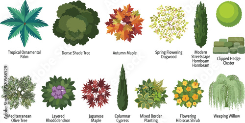Top View Landscape Tree Collection Vector Set for Garden and Site Plan Design