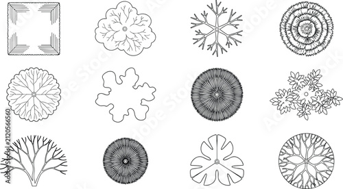 Top View Tree CAD Symbols Set with Landscape Architecture Outline Vector Collection