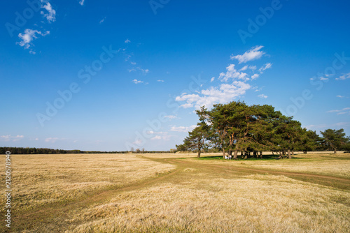 Obraz na płótnie Fröttmaninger Heide