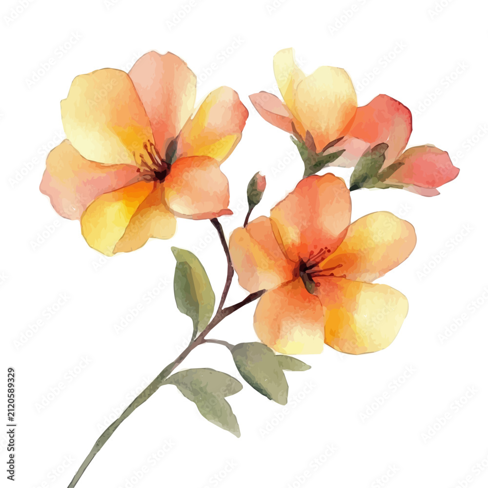 Naklejka premium watercolor of Wallflower Branch vector painting, isolated on a white background.