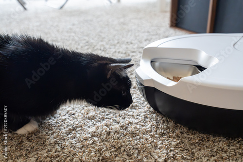 фотографія Black and white cat investigating a smart automatic pet feeder on a carpet
