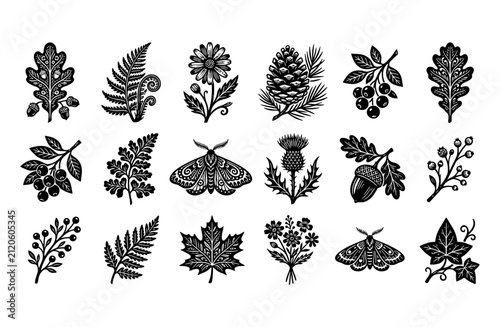 Vintage forest botanical vector set, 18 black woodcut nature icons, rustic linocut leaves and moth illustrations, hand drawn woodland flora elements