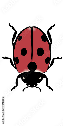 Cute cartoon ladybug isolated on transparent or white background, png