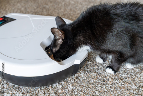 Фотография Black and white cat enjoying a meal from a smart automatic pet feeder indoors