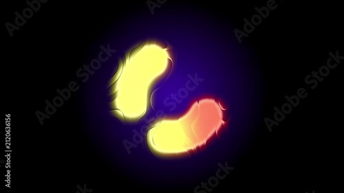 Glassy Gradient Background Animated on Black Background. Vibrant Gradient Fluid Animation Featuring Glowing Colorful Neon Organic Shape Rotating on Black Background