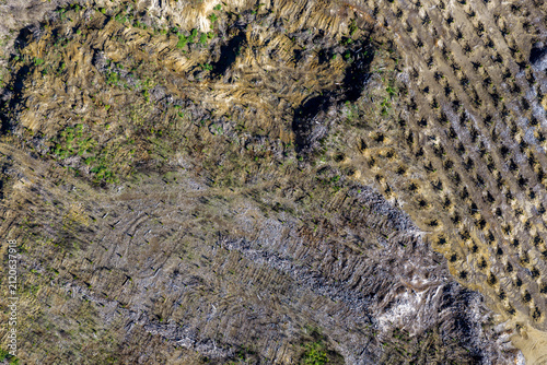 Konstfotografi Aerial view of a clear-cut forest area in Taupo, New Zealand, showing land prepared for replanting after commercial logging