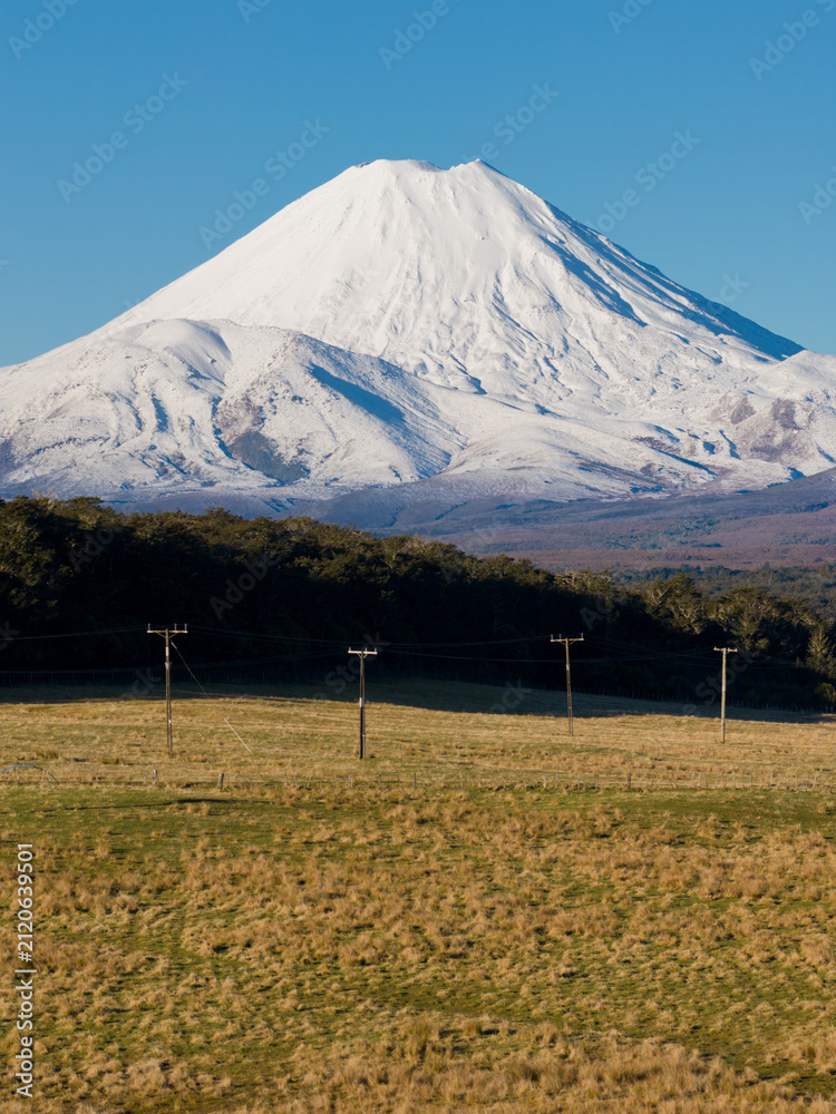 Fototapeta premium A stunning view of snow-covered Mount Ruapehu in Tongariro National Park, New Zealand, rising above rural pastures and utility poles.