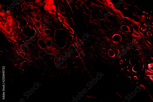 Artistic background featuring red swirls and circular cells.