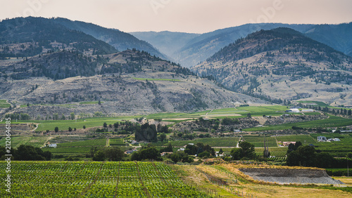 Fotografía Vineyards in the Southern Okanagan Under Smokey Skies