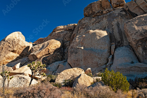 Joshua Tree National Park in California.. Joshua Tree National Park with its  unique landscapes and ecosystems offers rock formations, scenic viewpoints,  hikes and desert gardens