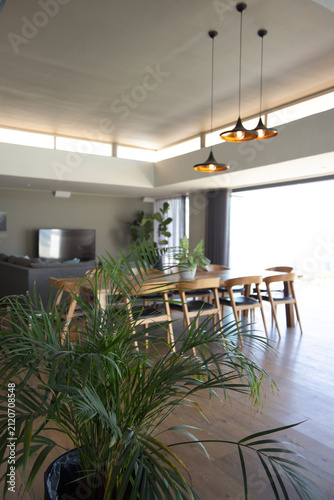 Potted palm sitting in foreground wooden dining table chairs basking in light from sliding doors