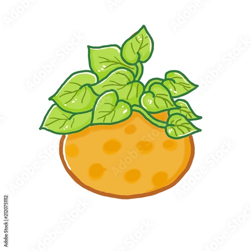 Cute Hand-Drawn Pothos Plant in Round Terracotta Pot — Indoor Botanical Illustration