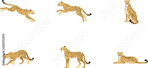 Photography African Cheetah and Leopard Wild Big Cat Vector Icon Set with Running, Jumping,
