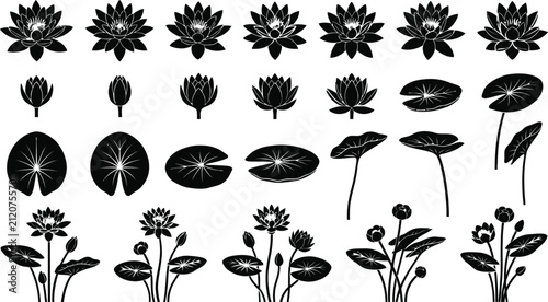 Принти на полотні Black and white lotus flower illustrations collection