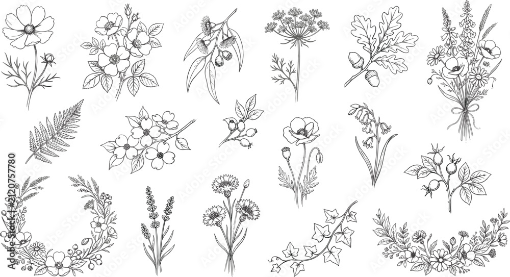 Fototapeta premium Vintage botanical line art wildflower illustration set with wreaths, leaves, and herbs isolated on white background for wedding invitation design elements