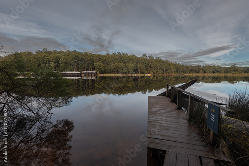 View from Frogs Leap Jetty of the reflections in the calm water of Beedelup Lake. Beedelup, Western Australia, Australia.