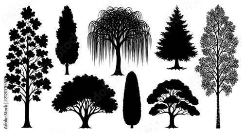 Collection of nine tree silhouettes in various shapes with against white background graphic resources sizes against illustration environment