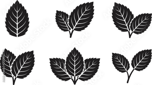 Принти на полотні Fresh mint leaves, green herb leaf icon, peppermint foliage, organic botanical e