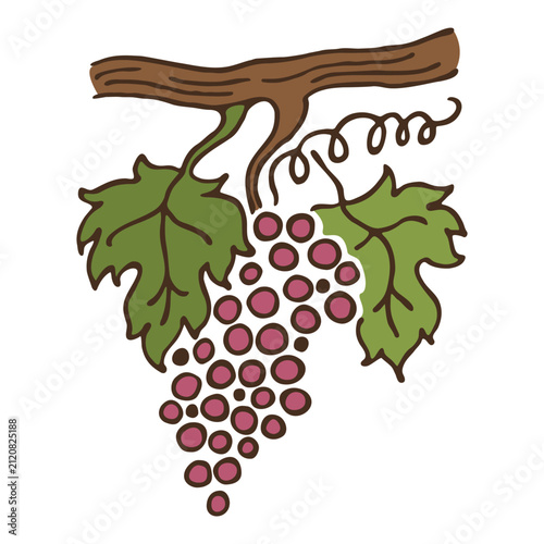 Stylized Hand-Drawn Grape Cluster Illustration with Green Leaves and Brown Vine, Minimalist Vector Graphic Design on White Background for Wine and Vineyard Branding