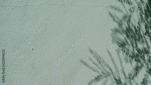 Shadow leaf background wall green blue overlay abstract plant 4k backdrop mockup minimal summer wallpaper, blur nature spring autumn video vintage branching floral, card holidays.
